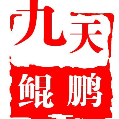 江西九天鯤鵬教育咨詢(xún)有限公司